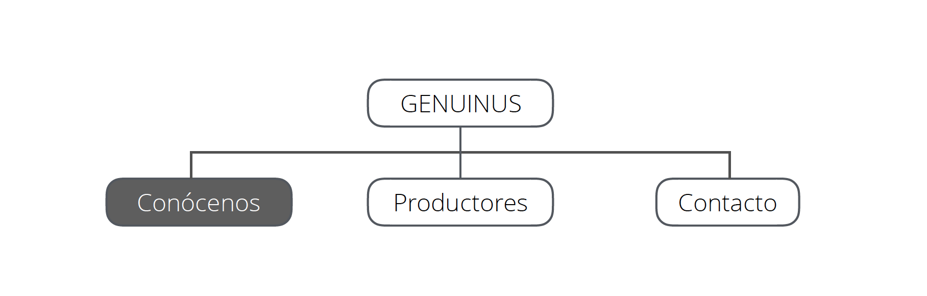 Information architecture